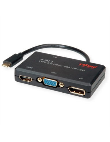 ROLINE Display Adapter USB Type C - VGA / DVI / HDMI / DP