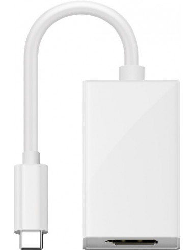 Adapter USB-C™ do DisplayPort - Wersja kolorystyczna Biały