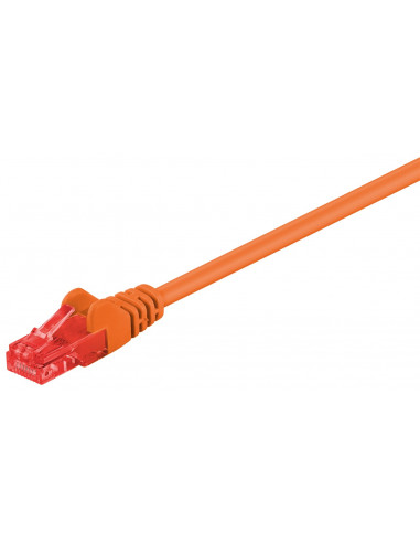 CAT 6Kabel łączący, U/UTP, Pomarańczowy - Długość kabla 0.5 m